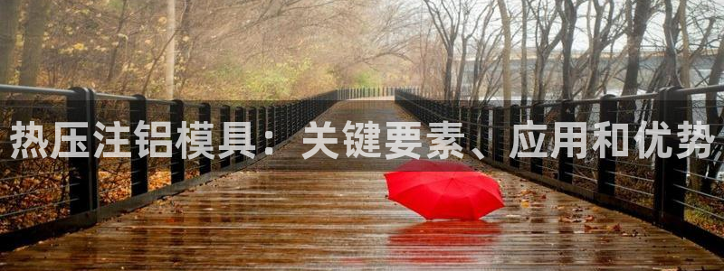 易倍纤减肥价格