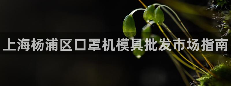 易倍达怎么样