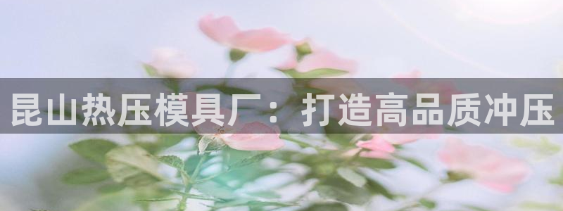 易倍达科技有限公司代运营