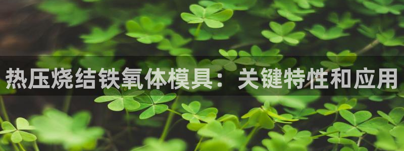 emcapp下载普通下载：热压烧结铁氧体模具：关键特性和