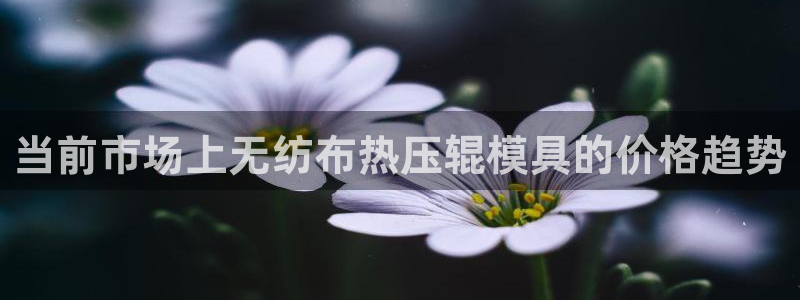 emc备份软件