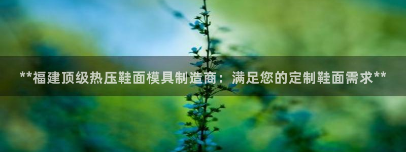 易倍纤能减肥吗：**福建顶级热压鞋面模具制造商：满足您的