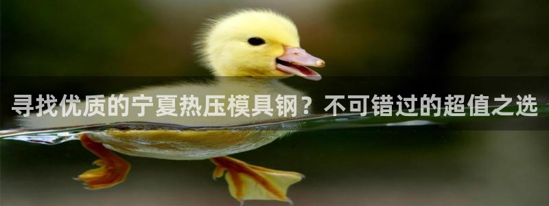 易倍纤减肥价格