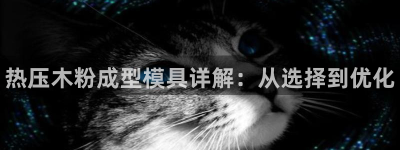 易倍申生产厂家