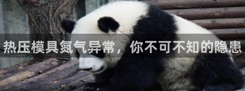 易倍纤价格