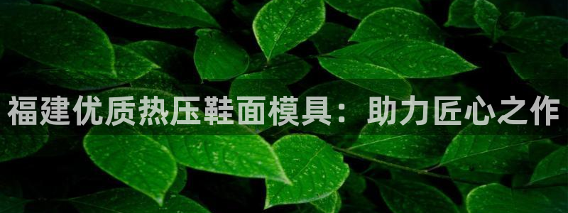 emc备份软件：福建优质热压鞋面模具：助力匠心之作