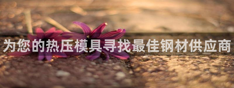 易倍全站