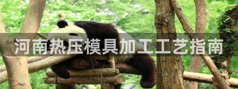 emc登录网站