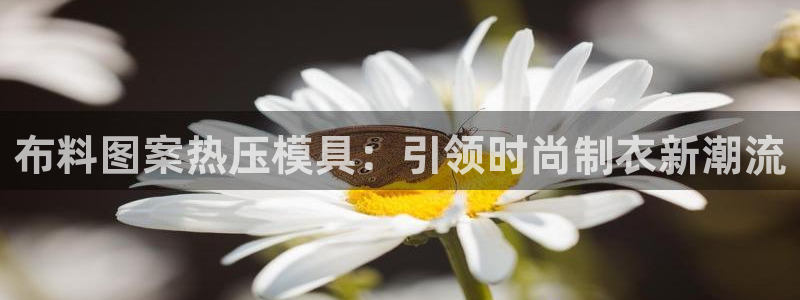 易倍英语官方网站登录