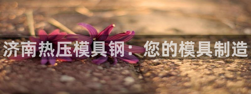 易倍纤代餐奶昔减肥效果怎么样：济南热压模具钢：您的模具制