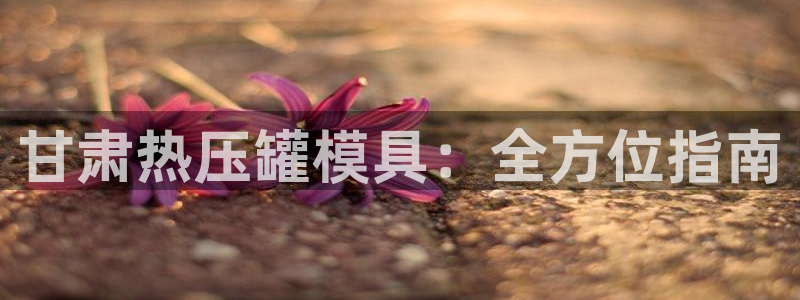 易倍申价格