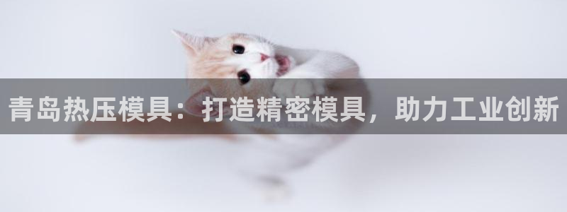 易倍思怎么样：青岛热压模具：打造精密模具，助力工业创新