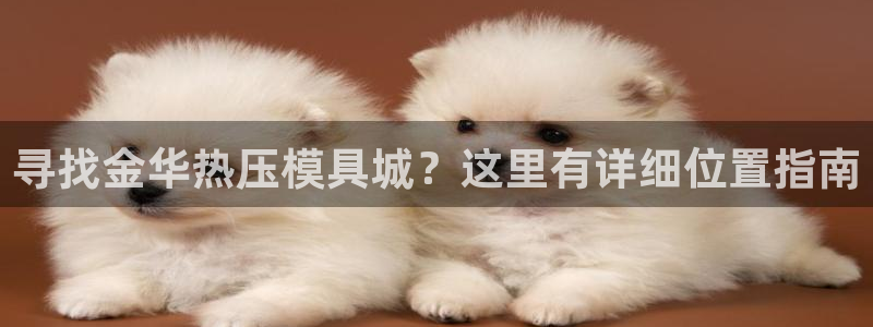 易倍单词登录网站