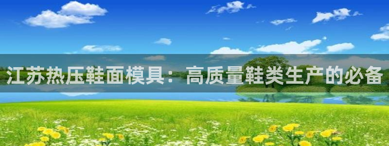易倍单词官方网站登录：江苏热压鞋面模具：高质量鞋类生产的