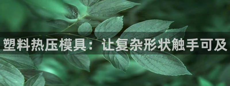 Emc易赔体育