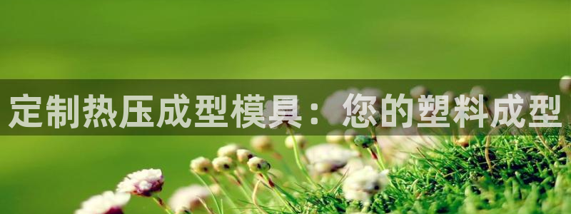 易倍申片：定制热压成型模具：您的塑料成型