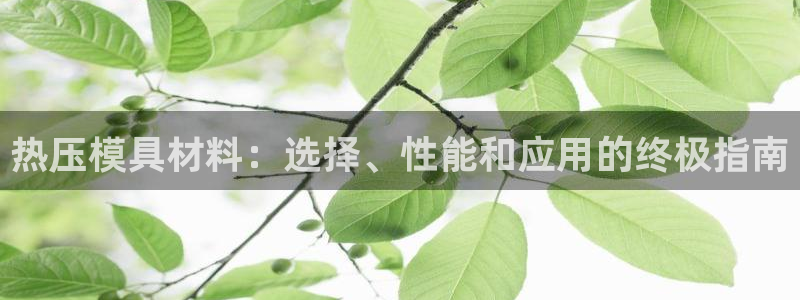 emc易倍的服务优势：热压模具材料：选择、性能和应用的终