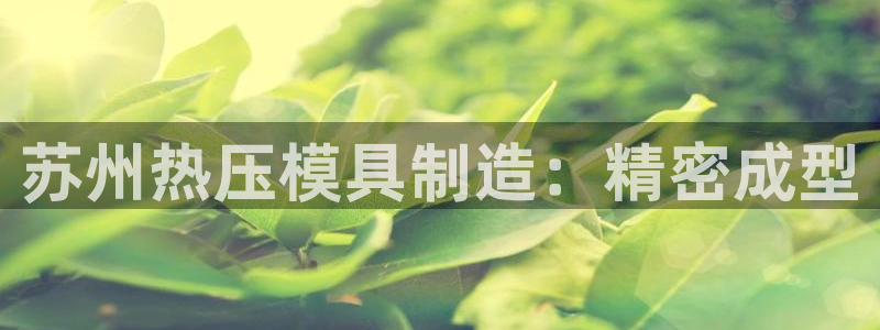 易倍企业管理软件：苏州热压模具制造：精密成型