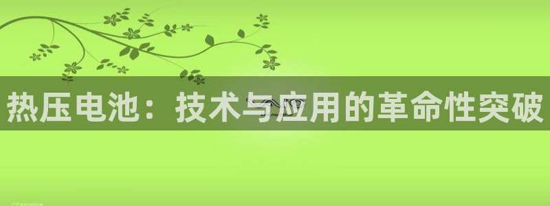 易倍达科技有限公司怎么样：热压电池：技术与应用的革命性突