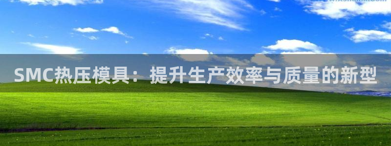 易倍申片说明书：SMC热压模具：提升生产效率与质量的新型