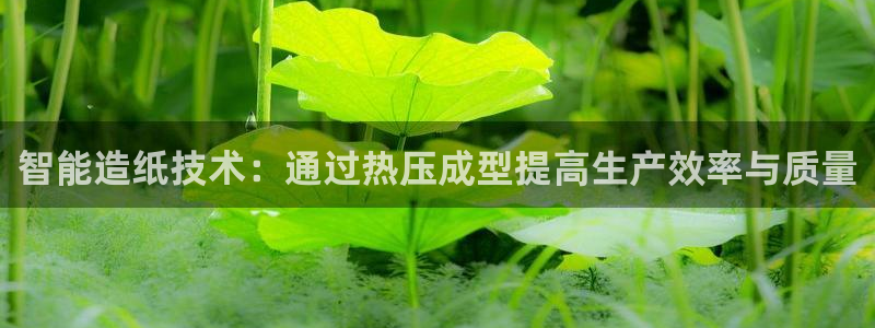 易倍纤使用方法：智能造纸技术：通过热压成型提高生产效率与