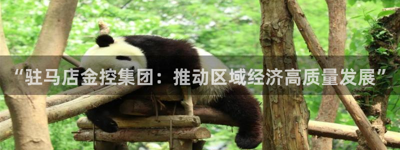 emc易倍网页版：“驻马店金控集团：推动区域经济高质量发