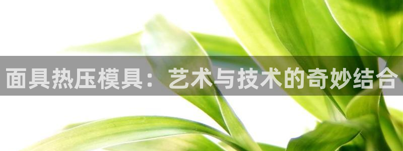 emc易倍是黑台子吗：面具热压模具：艺术与技术的奇妙结合