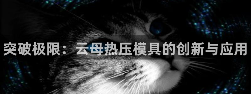 emc易倍官方下载：突破极限：云母热压模具的创新与应用