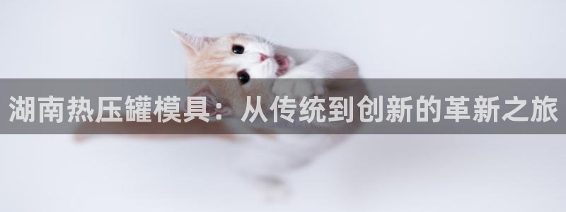 易倍单词官方网站登录：湖南热压罐模具：从传统到创新的革新