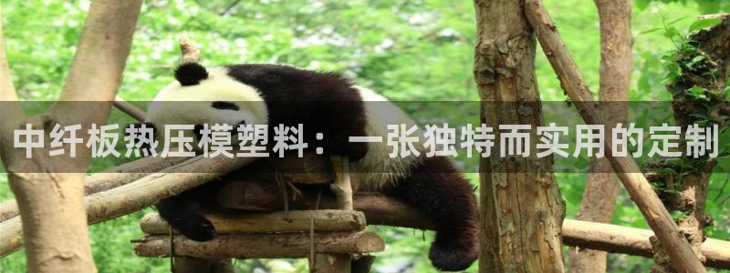 易倍单词平台：中纤板热压模塑料：一张独特而实用的定制