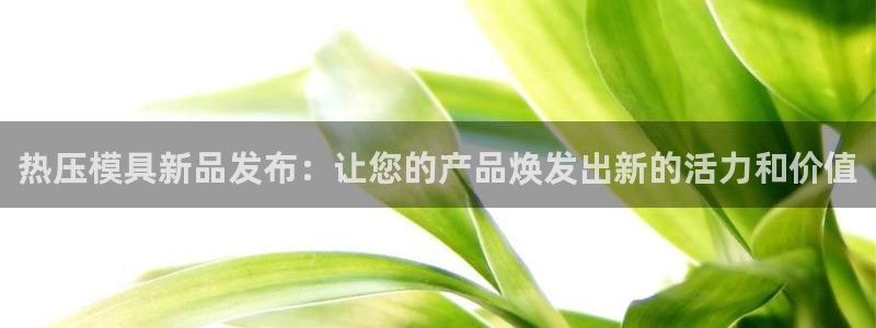 易倍纤使用方法：热压模具新品发布：让您的产品焕发出新的活