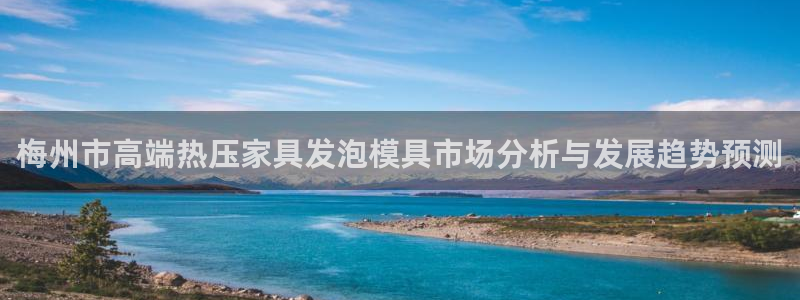 易倍下载手机版：梅州市高端热压家具发泡模具市场分析与发展