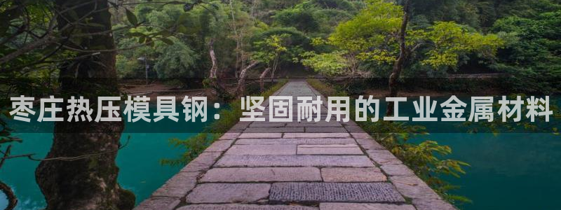 易倍企业管理软件怎么样：枣庄热压模具钢：坚固耐用的工业金