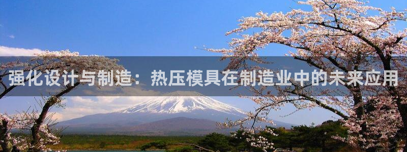emc易倍电竞：强化设计与制造：热压模具在制造业中的未来