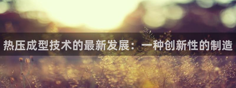 易倍申服用方法：热压成型技术的最新发展：一种创新性的制造