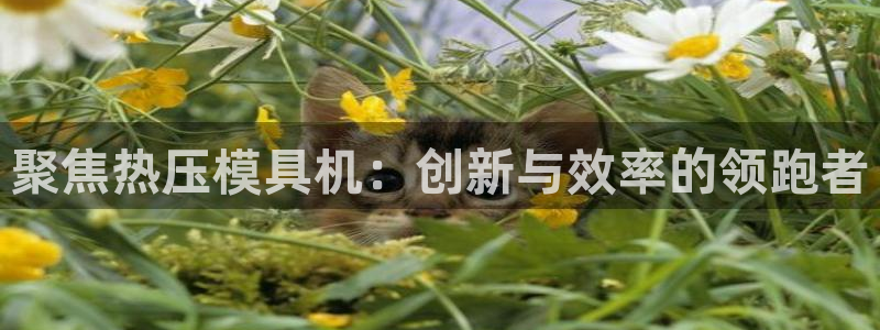 易倍申上市时间：聚焦热压模具机：创新与效率的领跑者