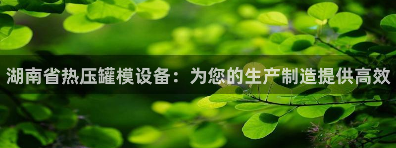 易倍申服用方法：湖南省热压罐模设备：为您的生产制造提供高