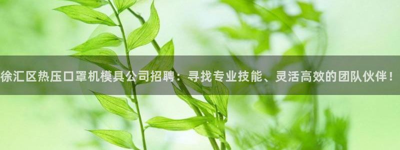 emc易倍官网app：徐汇区热压口罩机模具公司招聘：寻找
