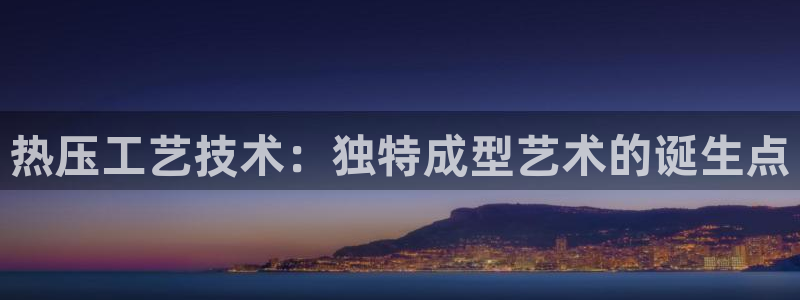 四川易倍易企业管理有限公司：热压工艺技术：独特成型艺术的