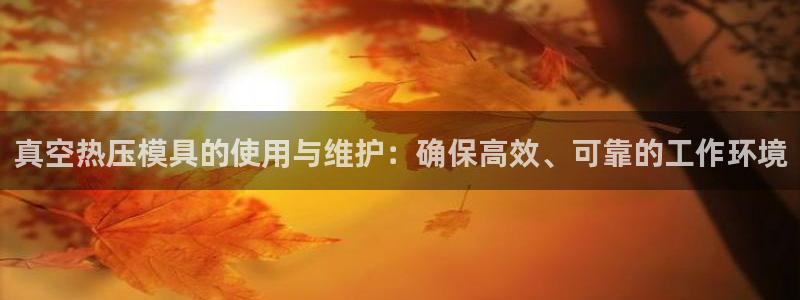 易倍纤酵素效果好吗