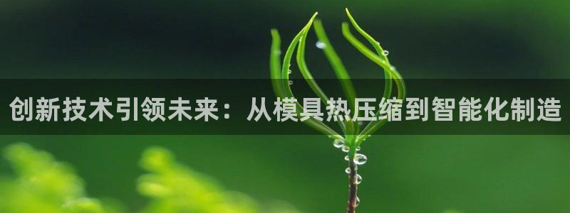 易倍易趣网