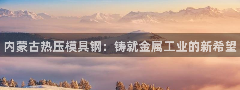 易倍申安理申区别