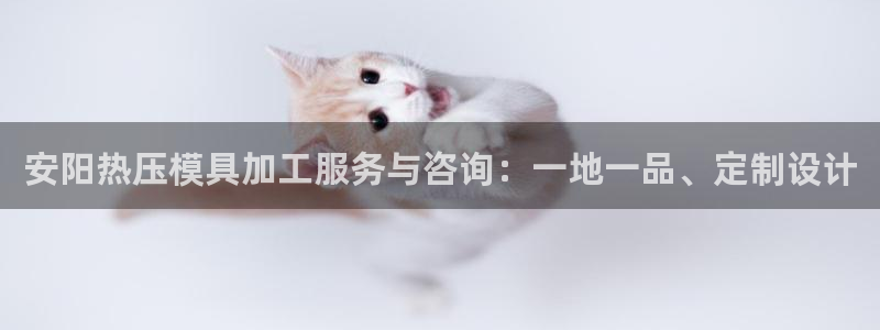 易倍申安理申区别：安阳热压模具加工服务与咨询：一地一品、