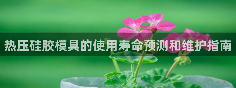 emc服务器是什么