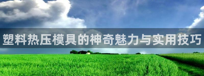 易倍申有用吗