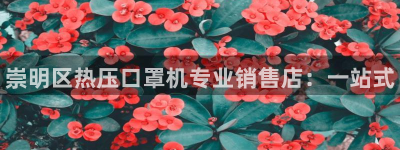 emc易倍：崇明区热压口罩机专业销售店：一站式