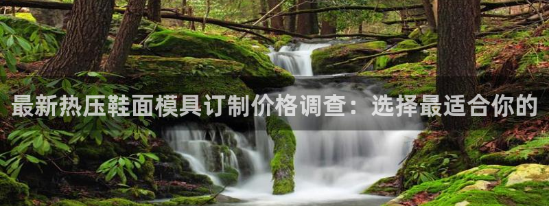 易倍emc安全吗：最新热压鞋面模具订制价格调查：选择最适