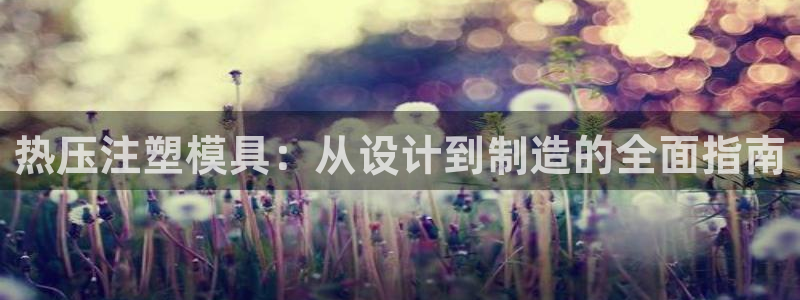 易倍纤怎么使用：热压注塑模具：从设计到制造的全面指南