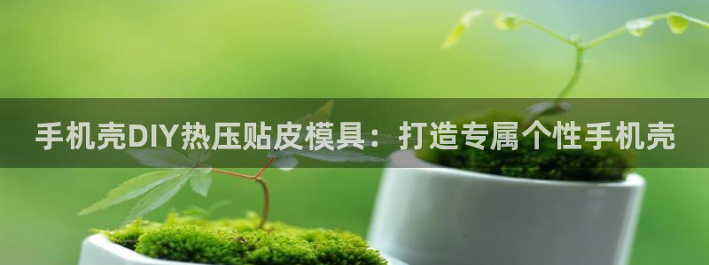 易倍纤酵素效果好吗