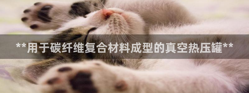 易倍申怎么样：**用于碳纤维复合材料成型的真空热压罐**